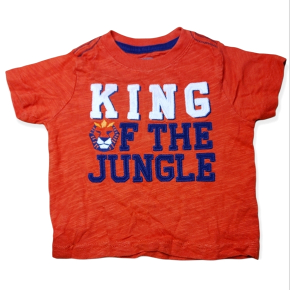 💥Bundle Only💥 GYMBOREE Orange King of the Jungle Tee Shirt - Picture 1 of 2